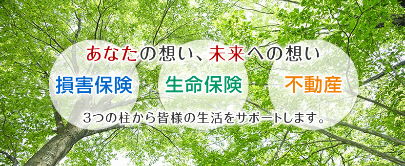 あなたの想い、未来への想い　損害保険　生命保険　不動産　3つの柱から皆様の生活をサポートします。